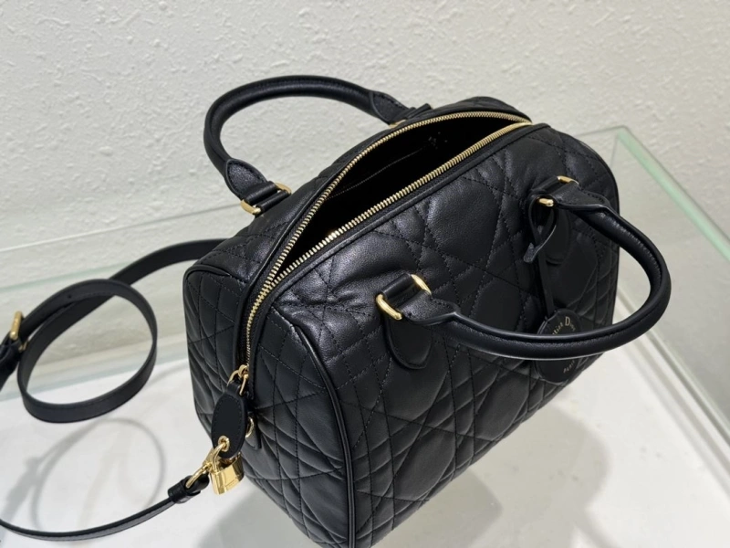 Dior Speedy Bags 4180F-0002
