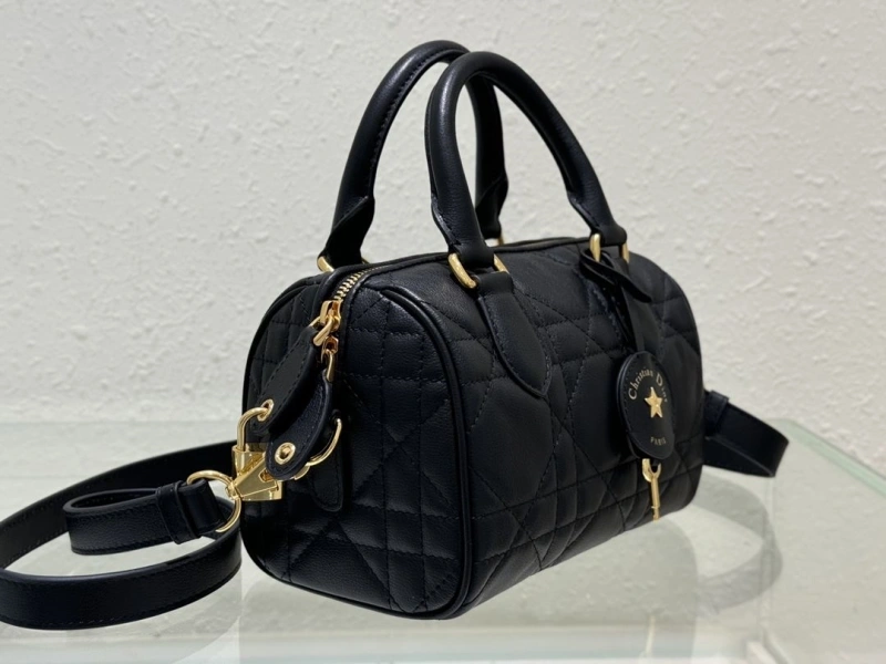 Dior Speedy Bags 4180F-0003