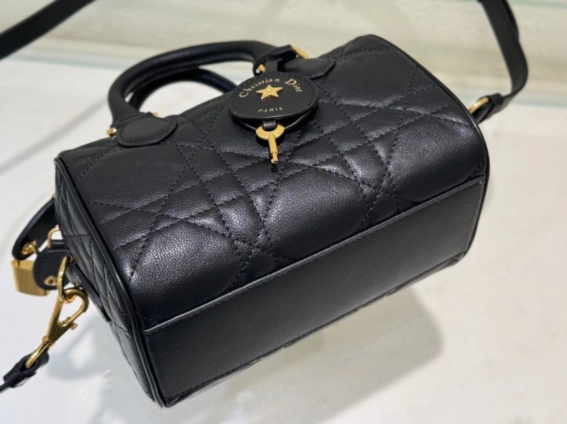 Dior Speedy Bags 4180F-0003