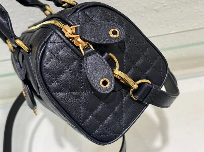 Dior Speedy Bags 4180F-0003
