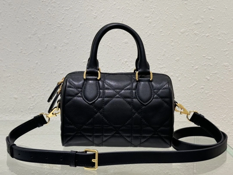 Dior Speedy Bags 4180F-0003