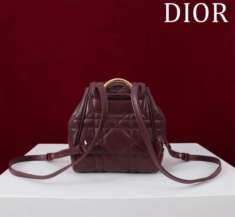 Dior Backpacks 4180F-0476