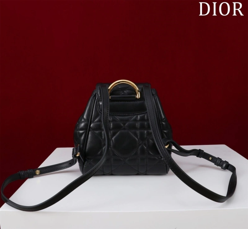 Dior Backpacks 4180F-0484
