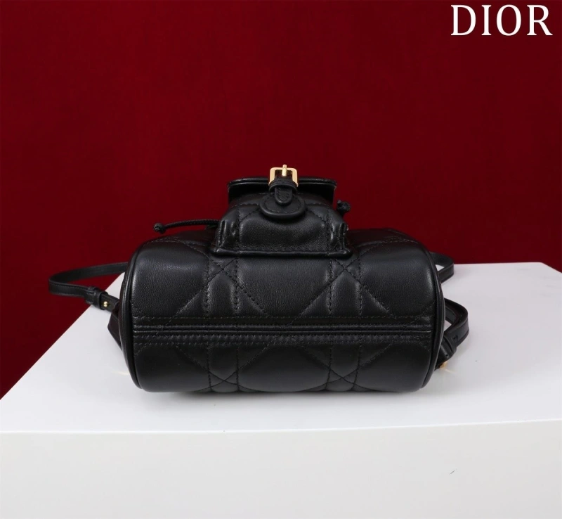 Dior Backpacks 4180F-0484