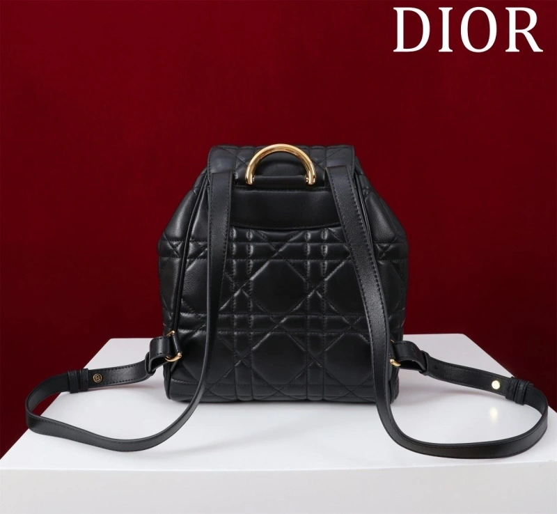 Dior Backpacks 4180F-0485