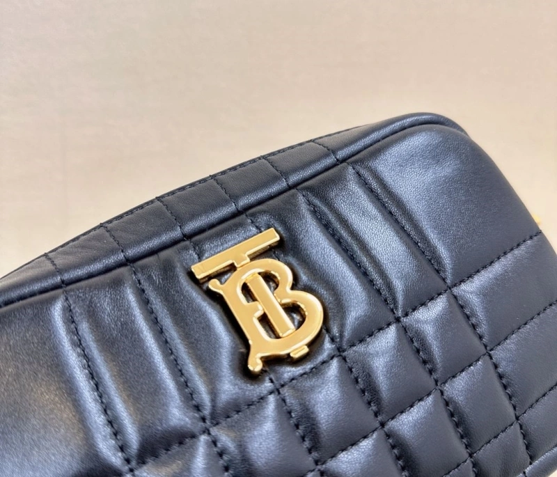 Burberry Satchel Bags 4211D-0154