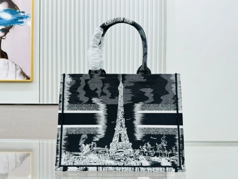 Dior Shopping Bags 4220C-0403