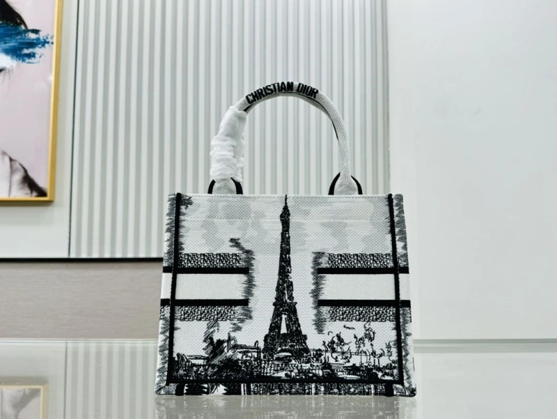 Dior Shopping Bags 4220C-0405