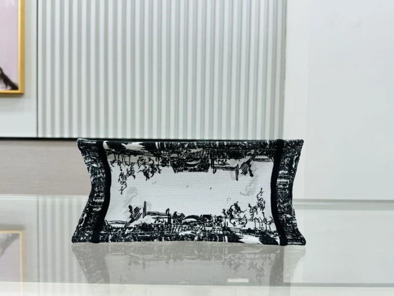 Dior Shopping Bags 4220C-0405