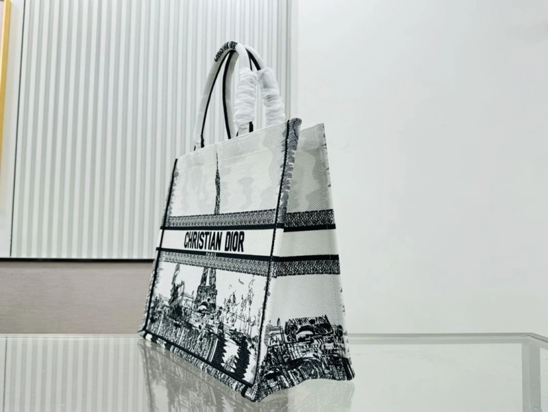Dior Shopping Bags 4220C-0407
