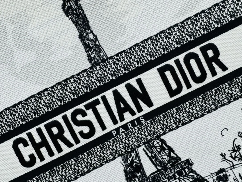 Dior Shopping Bags 4220C-0407