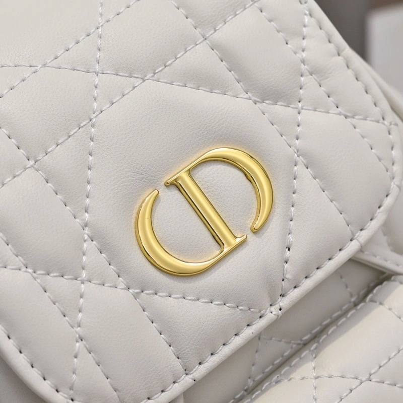 Dior Backpacks 4220D-0173