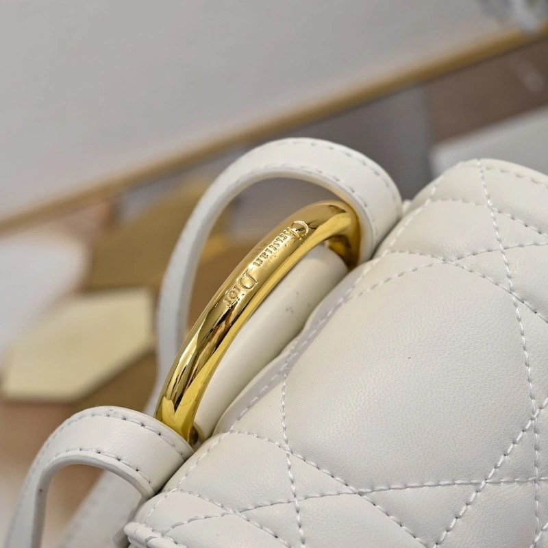 Dior Backpacks 4220D-0173