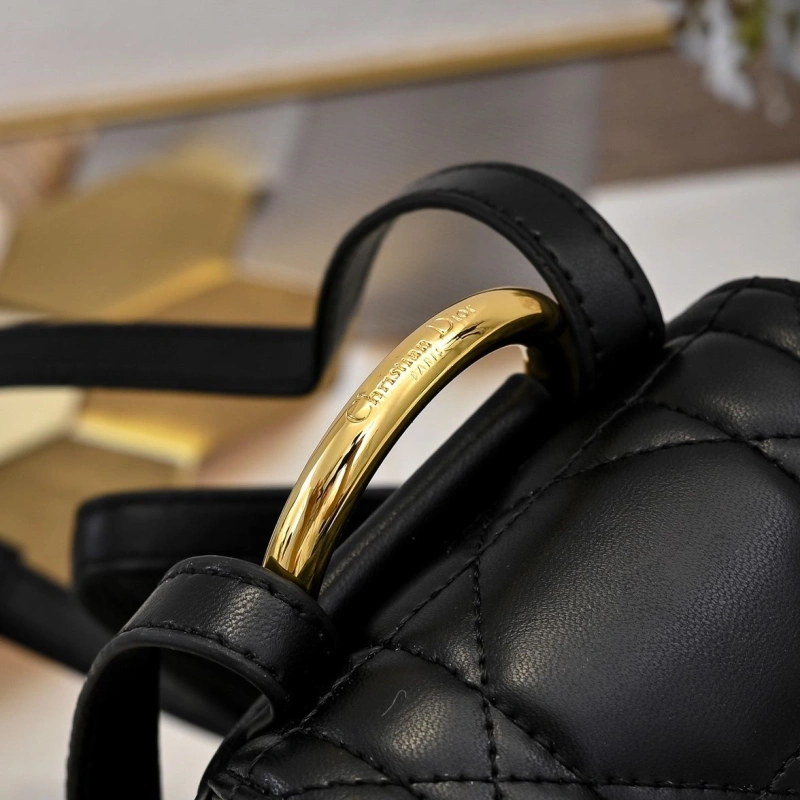 Dior Backpacks 4220D-0174