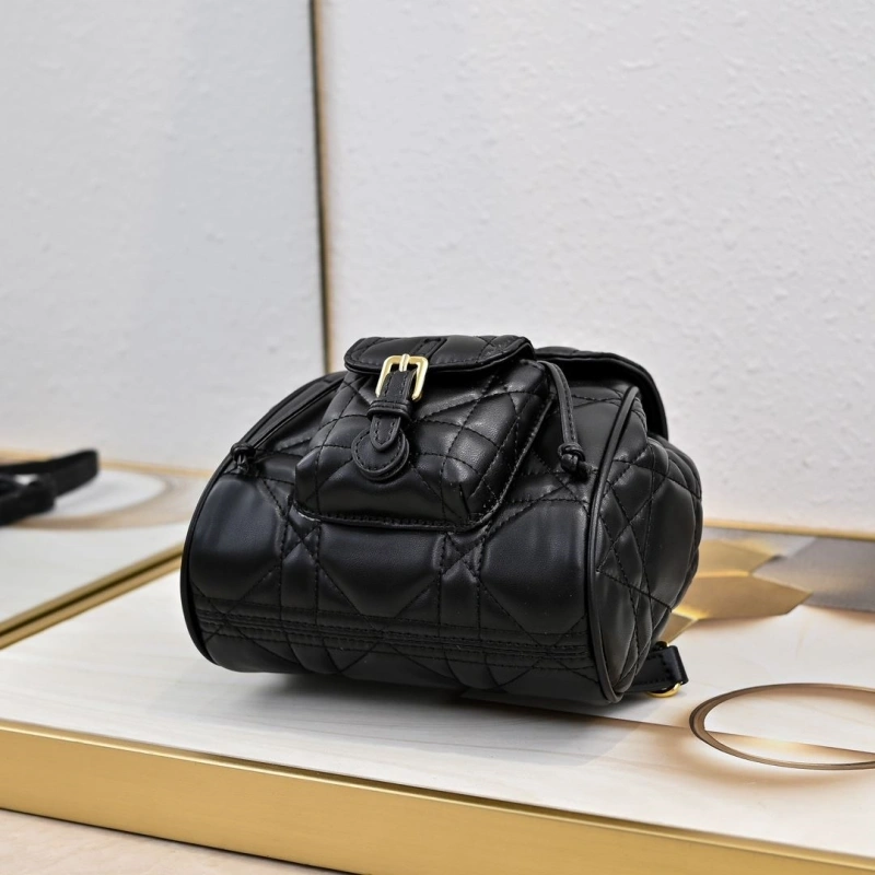 Dior Backpacks 4220D-0174