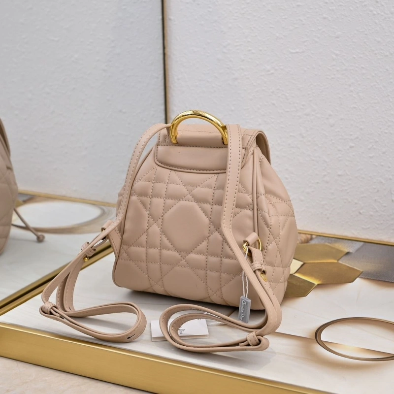 Dior Backpacks 4220D-0175