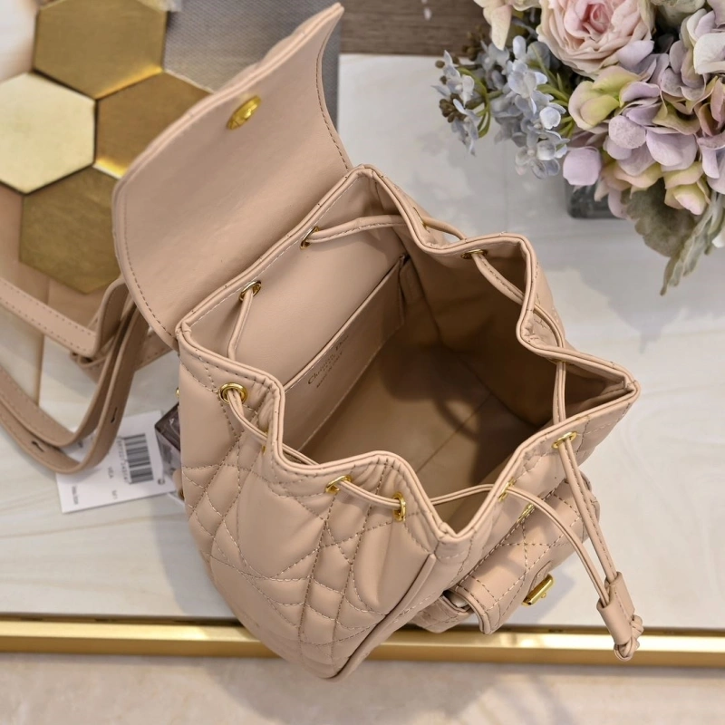 Dior Backpacks 4220D-0175