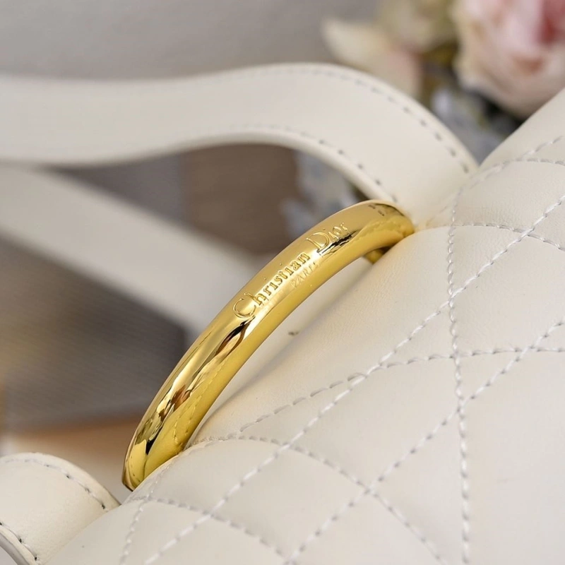 Dior Backpacks 4220D-0176