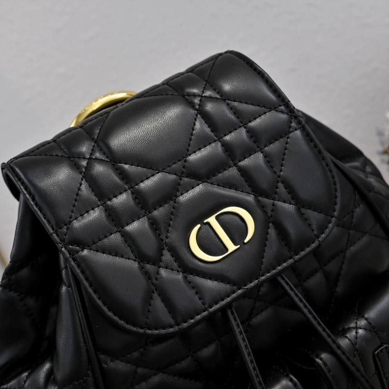 Dior Backpacks 4220D-0177