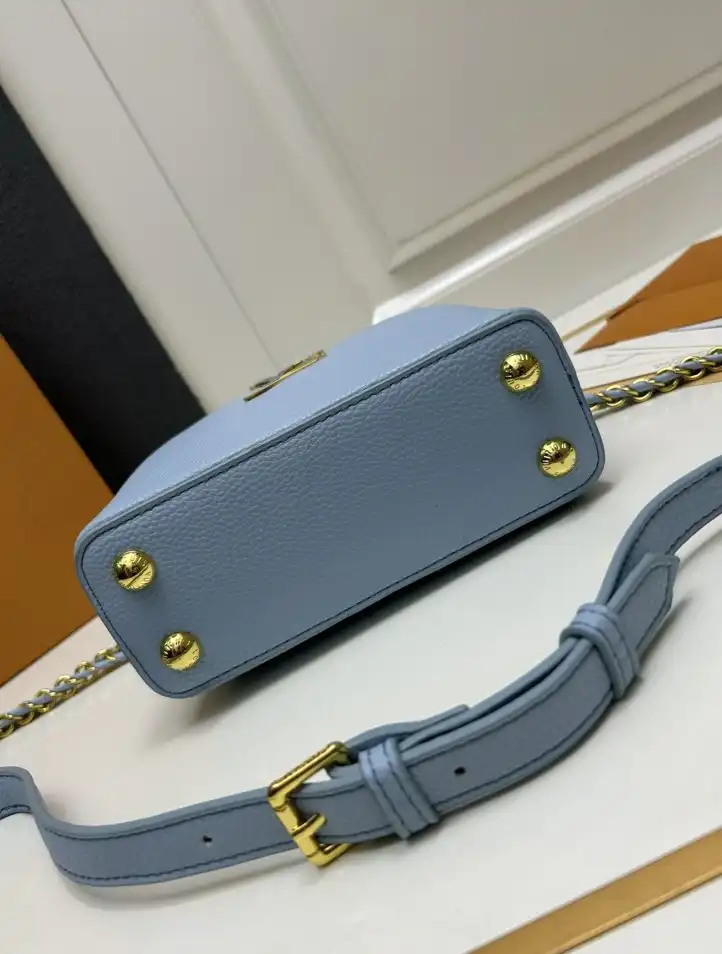 LV Capucines Bags 4224-0147