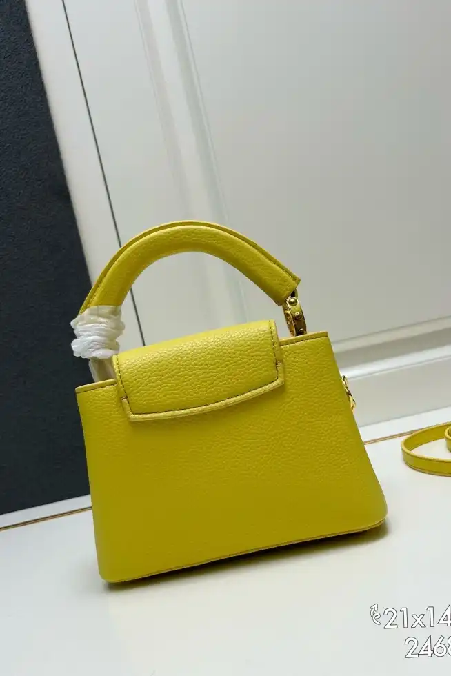 LV Capucines Bags 4224-0677