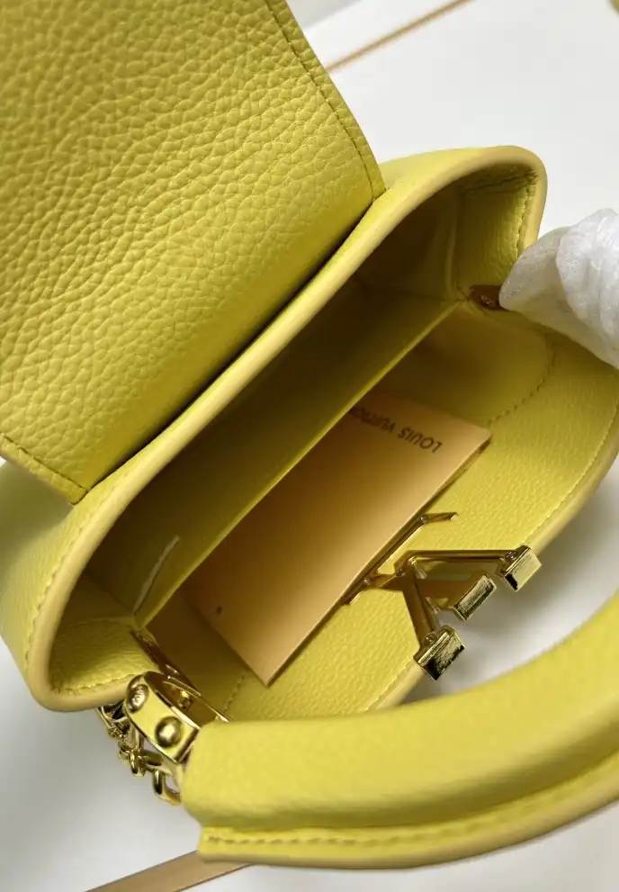 LV Capucines Bags 4224-0677