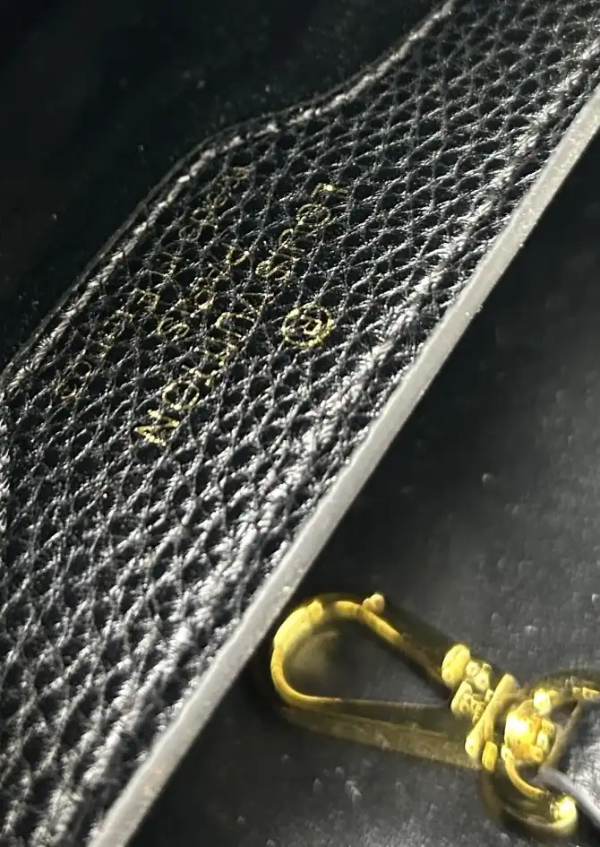 LV Capucines Bags 4224-0681