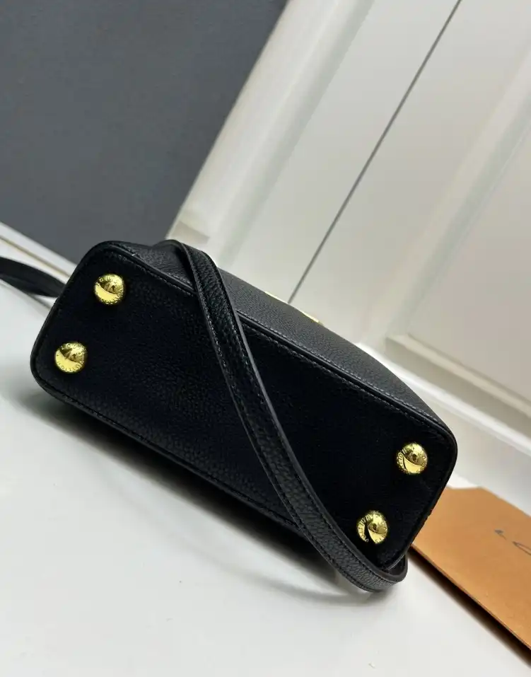 LV Capucines Bags 4224-1387