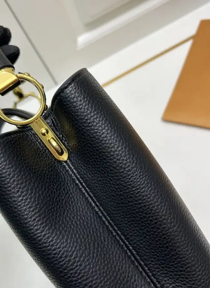 LV Capucines Bags 4224-1390