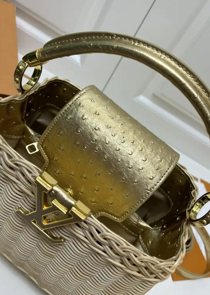 LV Capucines Bags 4224-1747