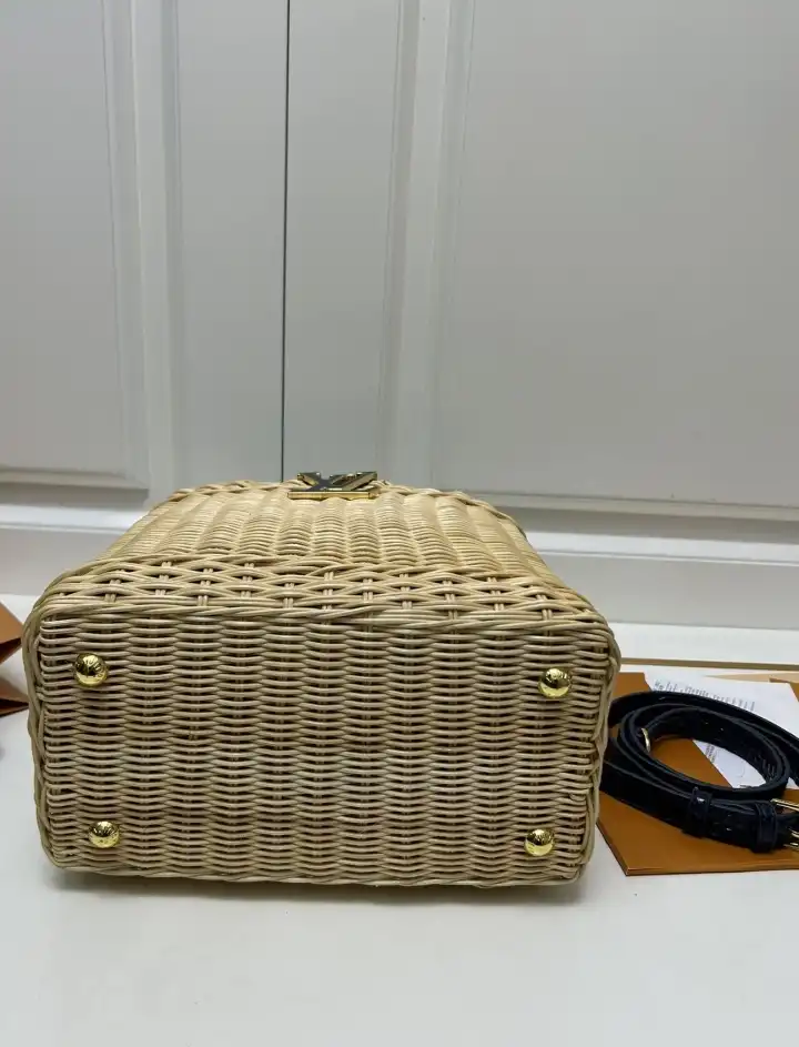 LV Capucines Bags 4224-1749