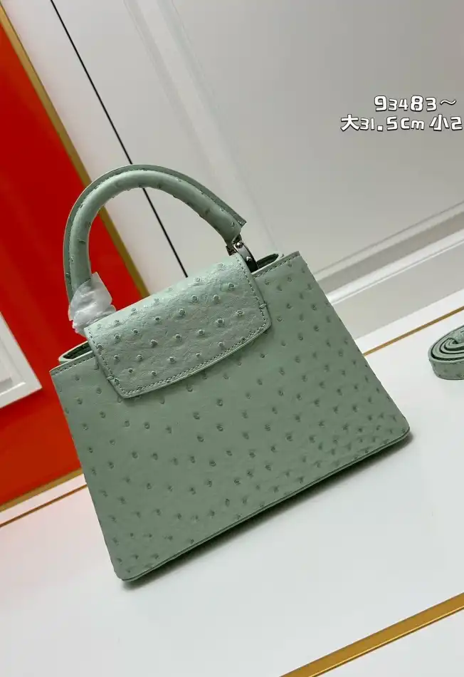 LV Capucines Bags 4224-1766