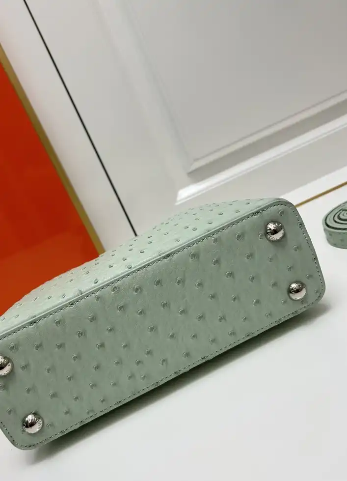 LV Capucines Bags 4224-1766