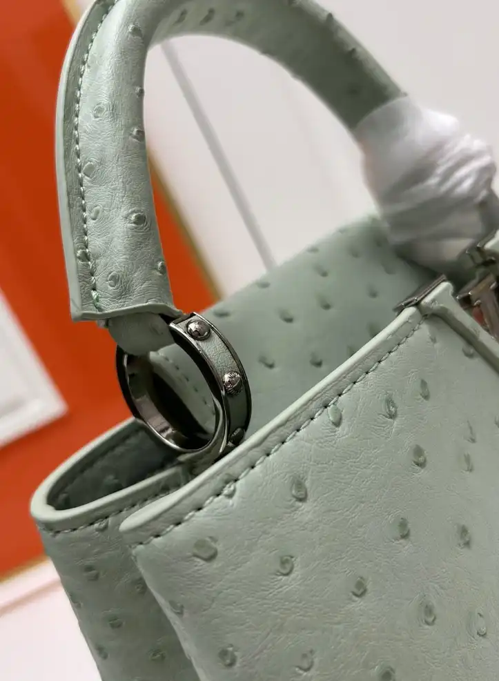 LV Capucines Bags 4224-1766