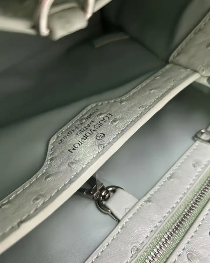 LV Capucines Bags 4224-1766