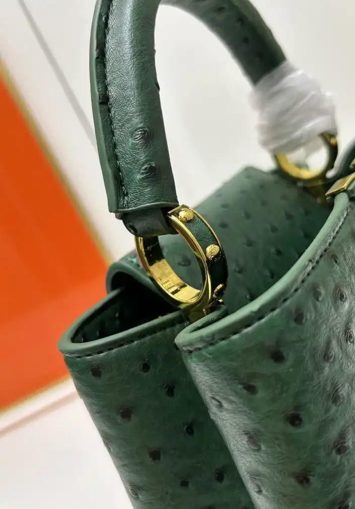 LV Capucines Bags 4224-1767