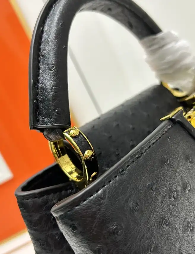 LV Capucines Bags 4224-1768