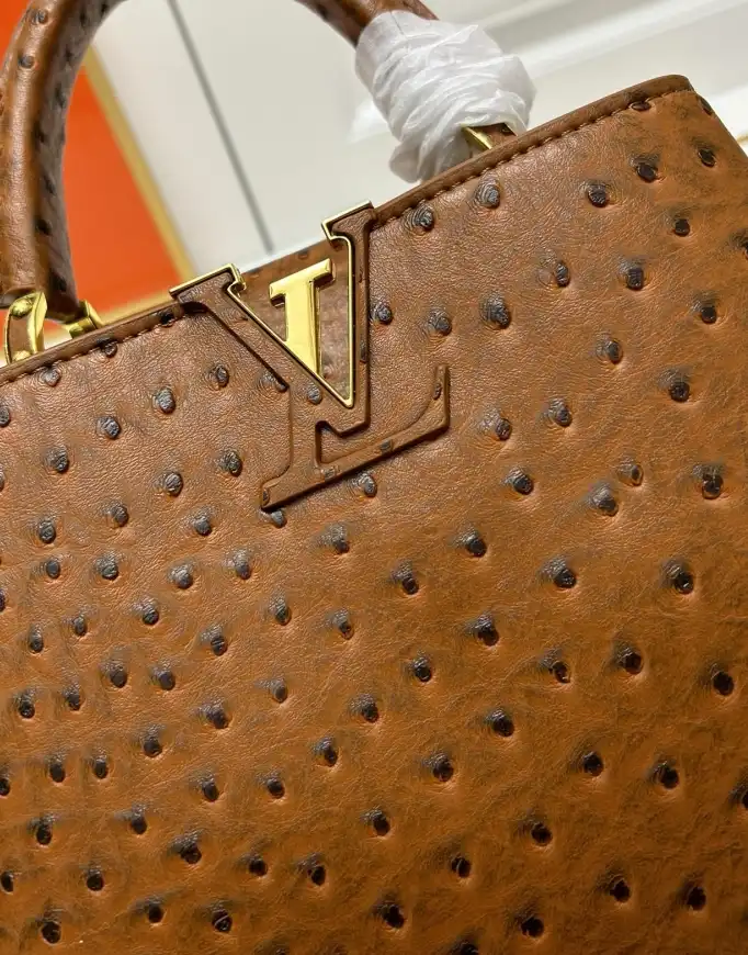 LV Capucines Bags 4224-1770