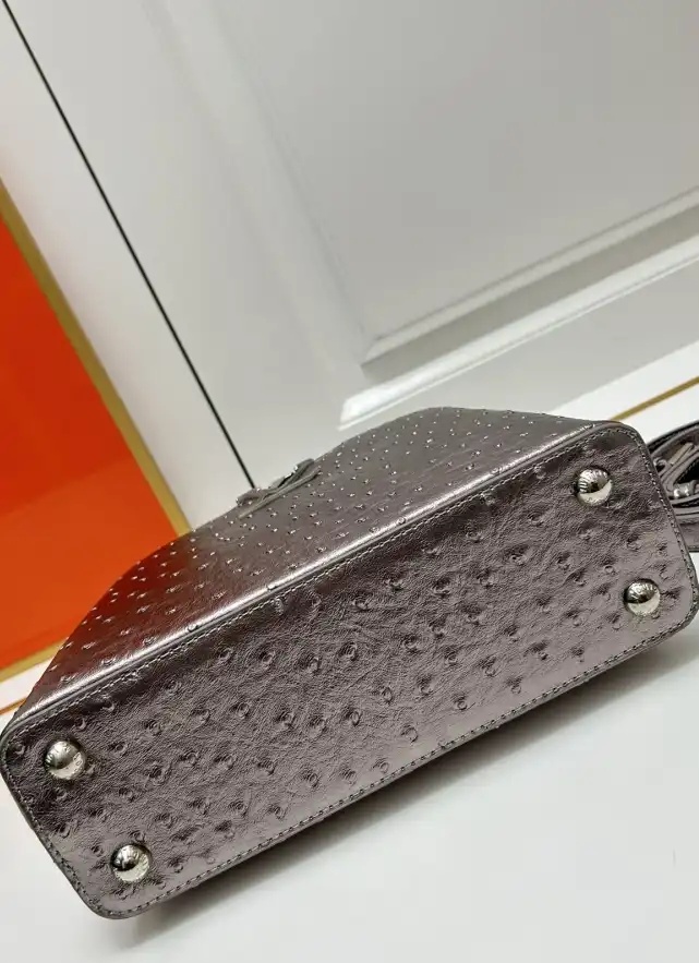 LV Capucines Bags 4224-1773