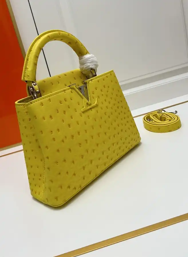 LV Capucines Bags 4224-1774