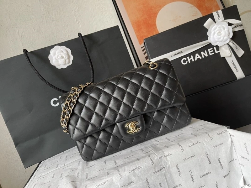 Chanel CF Series Bags 4224-1893