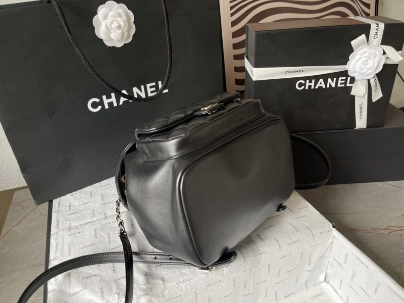 Chanel Backpacks 4224-1894