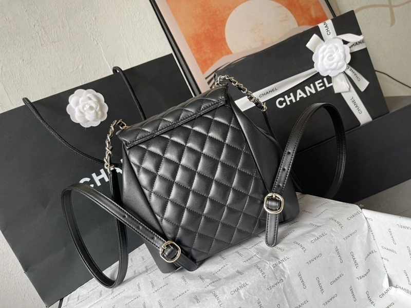 Chanel Backpacks 4224-1894