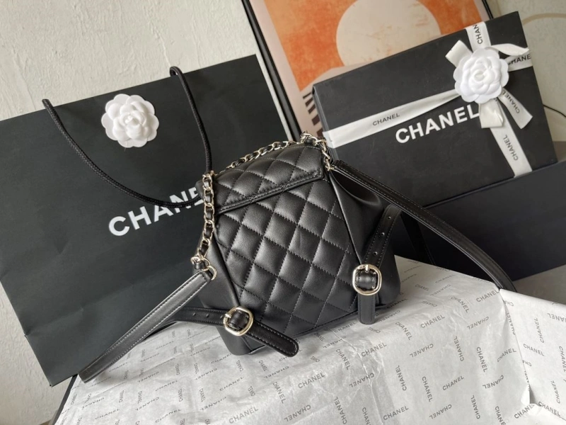 Chanel Backpacks 4224-1895