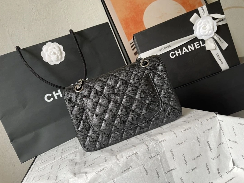 Chanel CF Series Bags 4224-1900