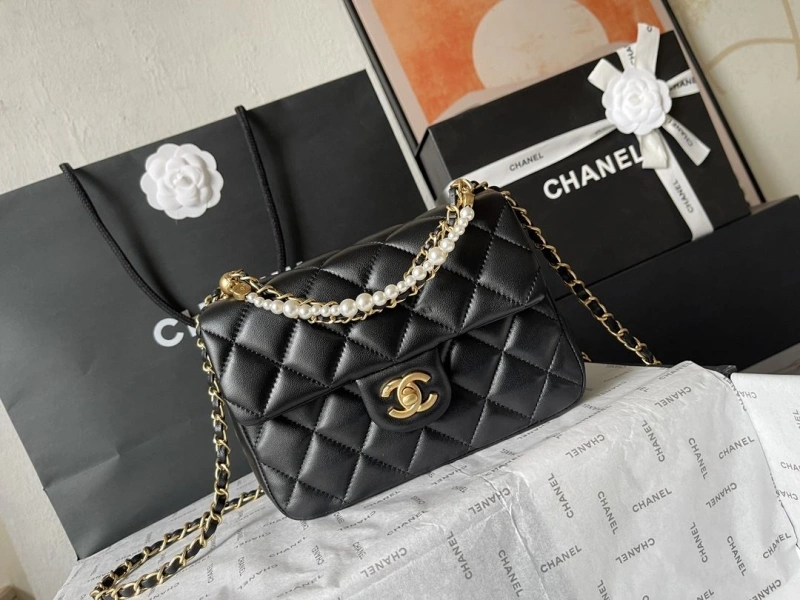Chanel 19 Bags 4224-1926