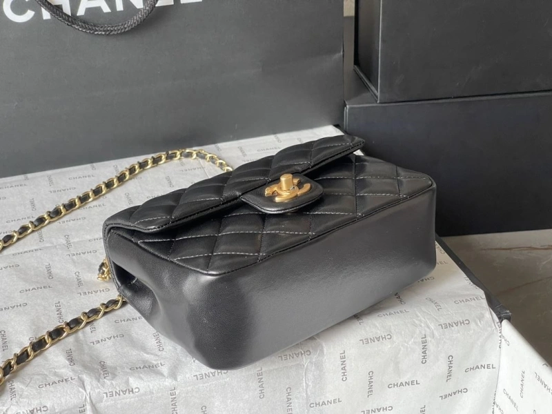 Chanel 19 Bags 4224-1926