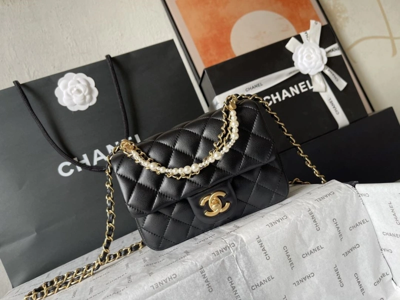 Chanel 19 Bags 4224-1927