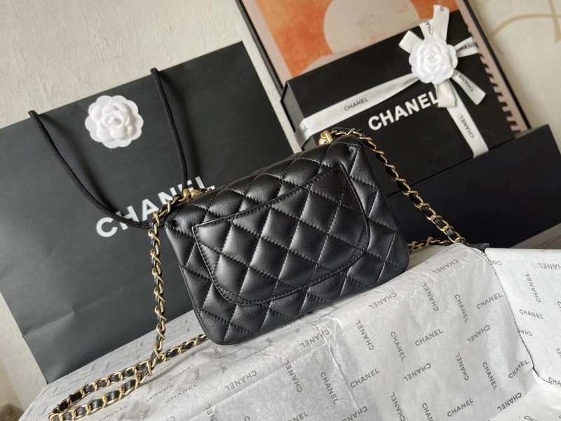 Chanel 19 Bags 4224-1927