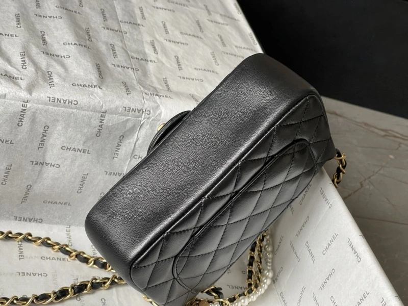 Chanel 19 Bags 4224-1927